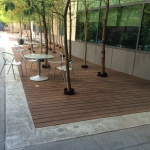 Dasso XTR  Exterior Bamboo Decking